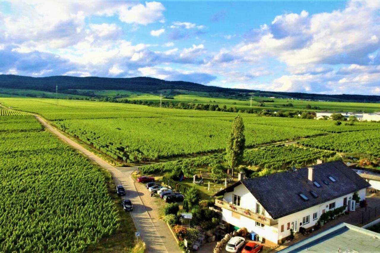 Ferienzimmer Weingut Mack Oestrich-Winkel Exteriör bild